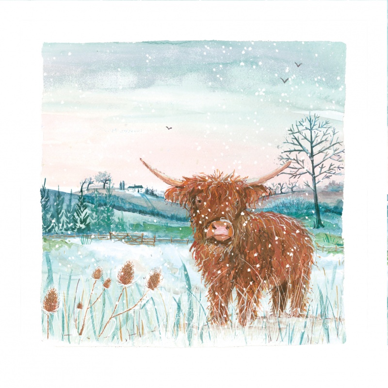 Highland Cow - 10 Pack